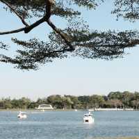 พื้นที่สีเขียวขนาดใหญ่ใจกลางเมือง – สวนหลวง ร.9