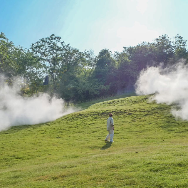 เปิดประสบการณ์ชมงานศิลป์กลางป่าใหญ่🌿