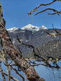 A Peaceful Escape into Nature: Discovering the Beauty of Potatso National Park (普达措国家公园)