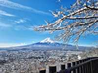 Fuji San