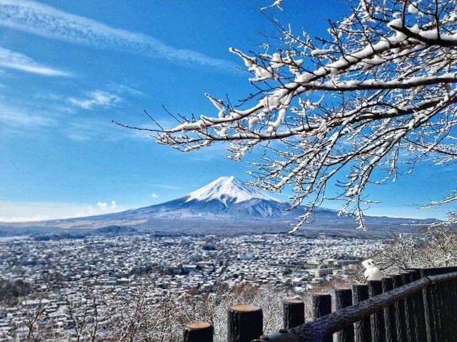 Fuji San
