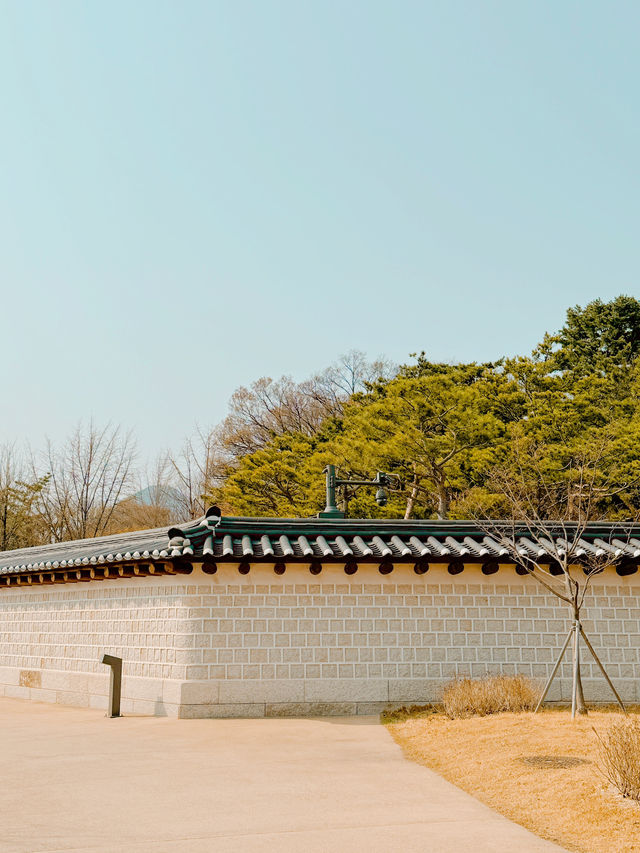 덕수궁 나들이~