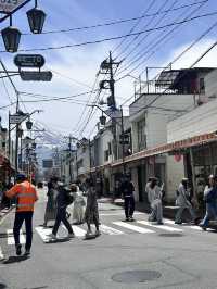 Mount Fuji Magic: Sakura, Serenity, and Stunning Views