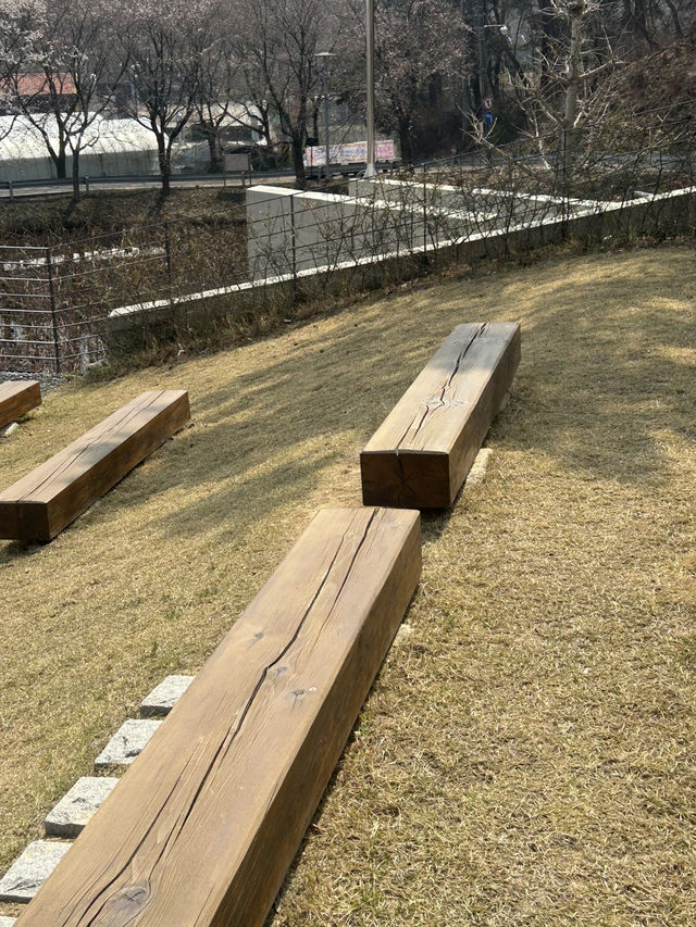 연꽃정원과 책이 어우러진 힐링 공간, 청주 후마니타스 📚🌿