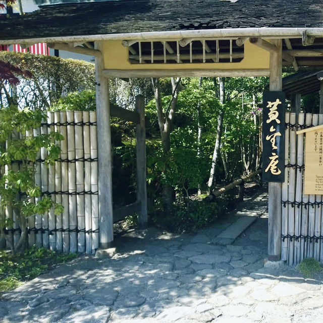 Kibitsu Shrine, Okayama – A Moment of Tranquility