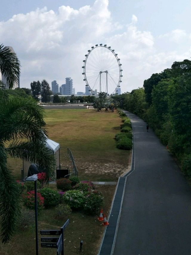 #濱海灣花園Gardens By The Bay-新加坡