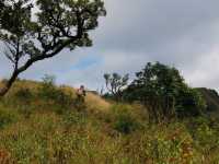 เขาสันหนอกวัว เดินป่าอุทยานแห่งชาติทองผาภูมิ