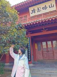 誰懂我在開封府拍照拍到瘋了