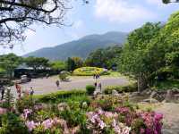 The Stunning views at Yangmingshan National Park, Taipei, Taiwan
