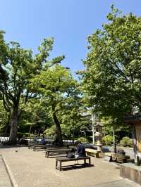 A Peaceful Spring Day at Gokokuji Temple
