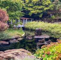 Wonderful Day at Burlington’s Blooming Beauty