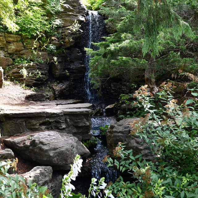 Late Summer Serenity – A Royal Botanical Gardens Experience