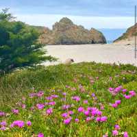 Pfeiffer Beach – Big Sur, CA