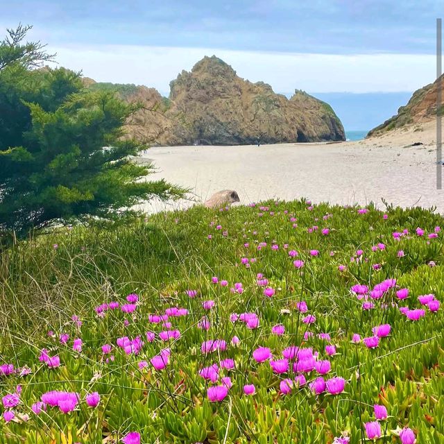 Pfeiffer Beach – Big Sur, CA
