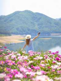🌸작약 꽃이 한가득 임실여행🌸