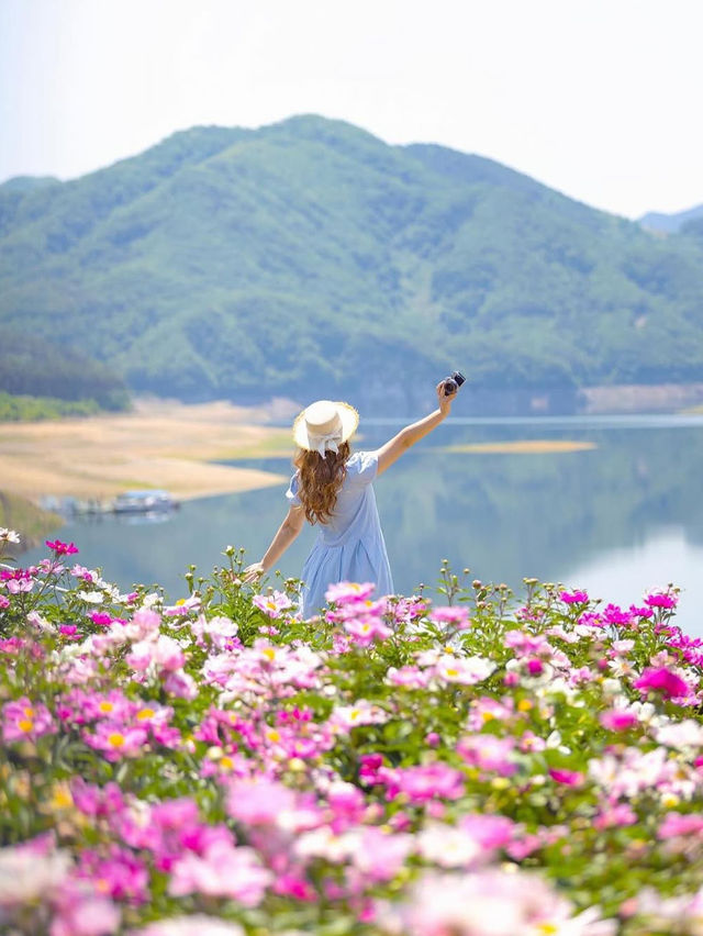 🌸작약 꽃이 한가득 임실여행🌸
