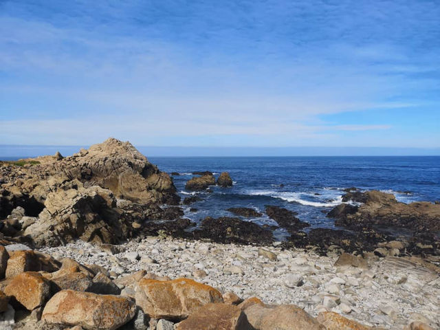 California Coastal Scenic Route Highlights 