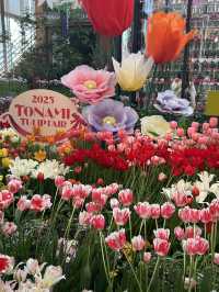【富山】🌷砺波チューリップフェア🌷