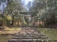  福井：冷門的白山神社探險🍃⛩️