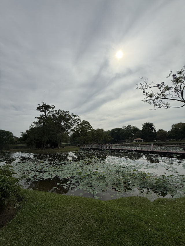 Discover Serenity in the City at Taman Tasik Cyberjaya