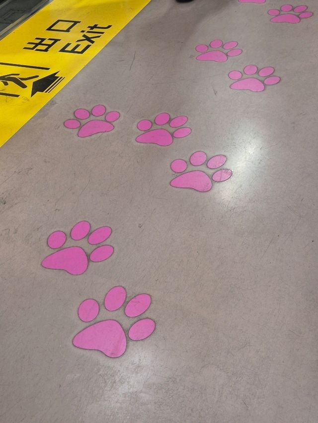 🐾 고양이 덕후 필수 코스! 도쿄 고토쿠지 신사 방문 후기