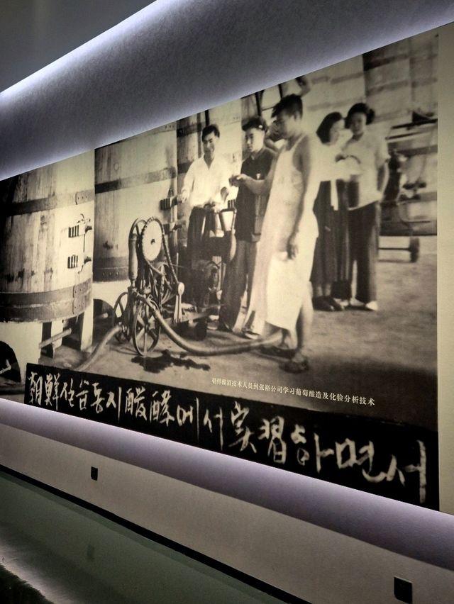 중국 연태 고량주 & 와인 시음 팁🇨🇳