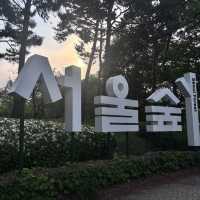 水上星巴克欣賞漢江風景+首爾林公園散步