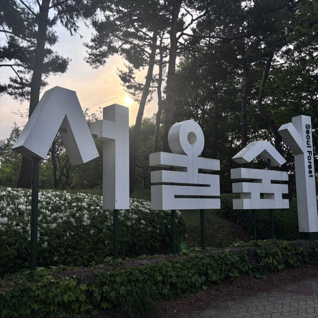 水上星巴克欣賞漢江風景+首爾林公園散步