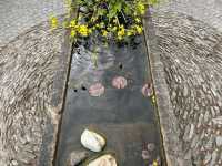 Kilchoan Gardens – Embracing Nature's Revival in Argyll