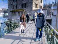 น้ำตกไรน์ (Rhine Falls)