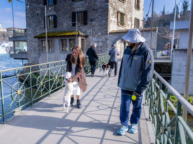 น้ำตกไรน์ (Rhine Falls)