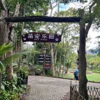 Immersed in Nature: Exploring Yanoda Rainforest in Hainan 