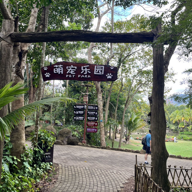 Immersed in Nature: Exploring Yanoda Rainforest in Hainan 