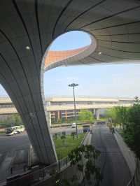 하늘에서 피어난 거대한 꽃, 베이징 다싱공항