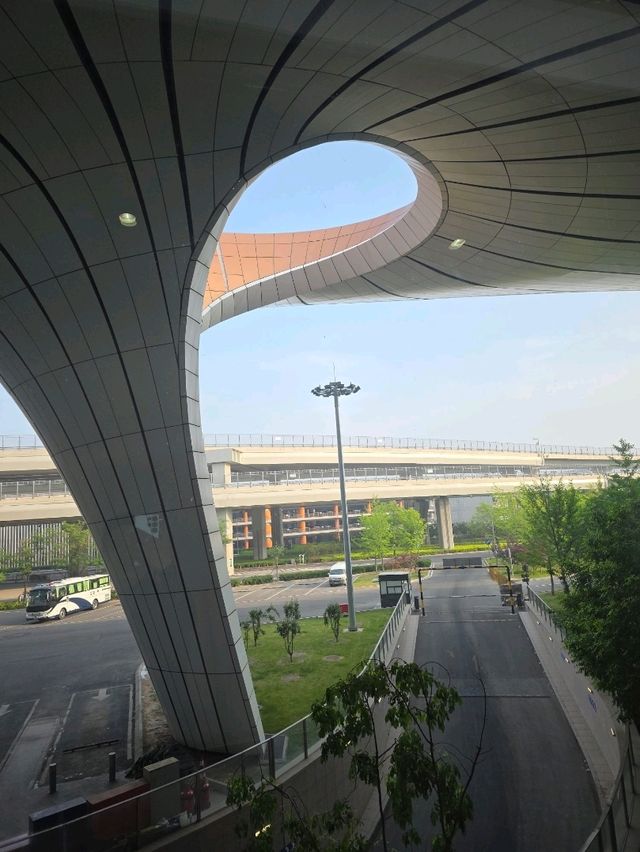 하늘에서 피어난 거대한 꽃, 베이징 다싱공항