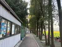 中山南朗崖口村
