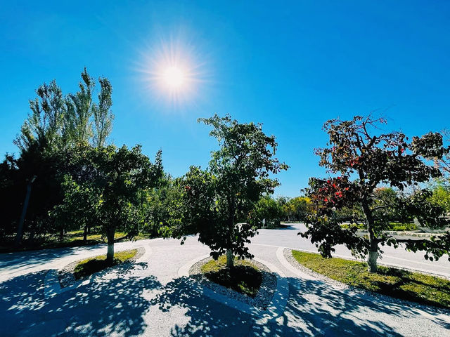 Beijing Expo Park
