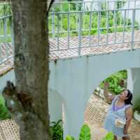 รีสอทร์ & คาเฟ่ กระต่าย กลางภูเขา สวนผึ้ง