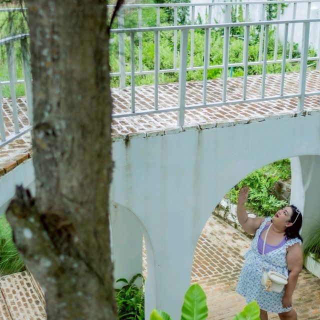 รีสอทร์ & คาเฟ่ กระต่าย กลางภูเขา สวนผึ้ง