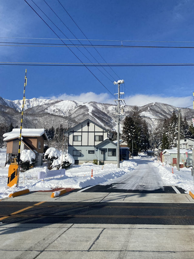 日本白馬真是一個很適合滑雪和看雪的地方🏂❄️❄️