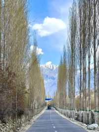 City of Saints, Sufi shrines, and sizzli