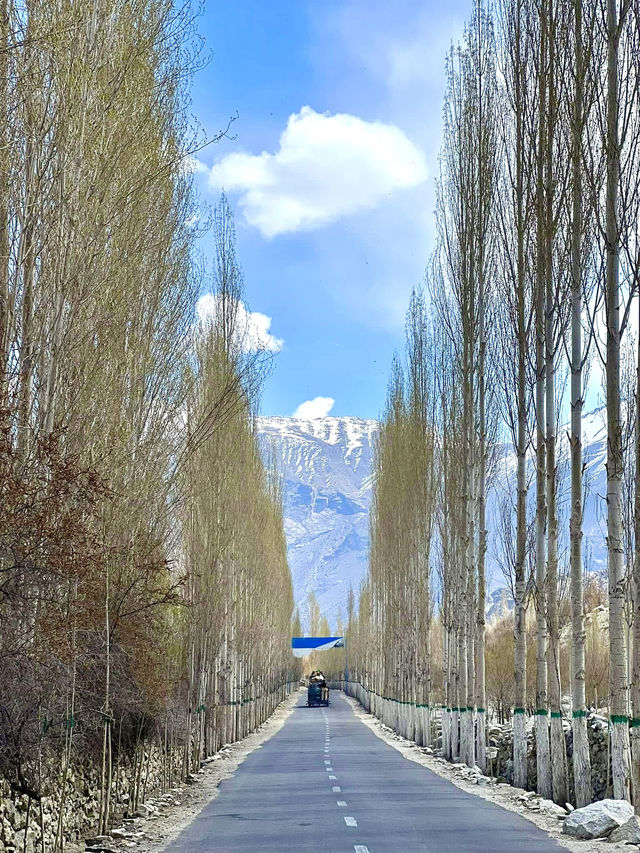City of Saints, Sufi shrines, and sizzli