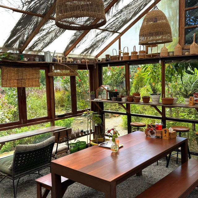 คาเฟ่สวนดอกไม้ Pranberry Field ปราณบุรี