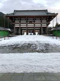 Winter Wonders in Fukui – Temples, Dinosaurs & Peaceful Shrines 