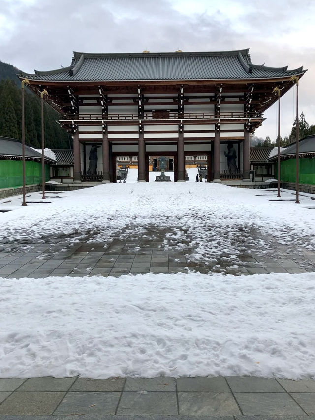 Winter Wonders in Fukui – Temples, Dinosaurs & Peaceful Shrines 