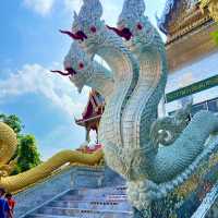 วัดม่วง