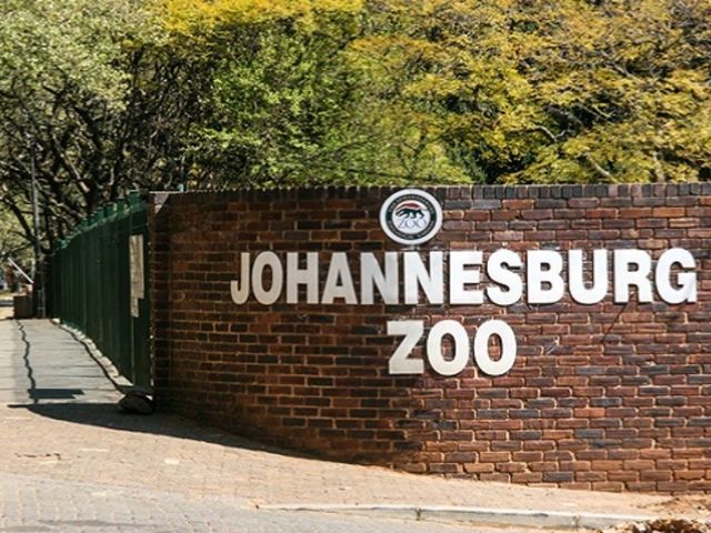 Joyful Johannesburg!