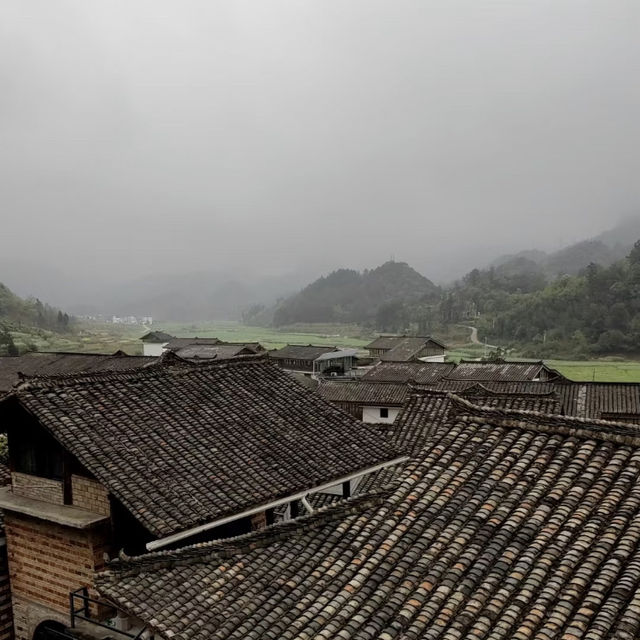 🎉端午布依灰棕三天兩晚新玩法🏞️