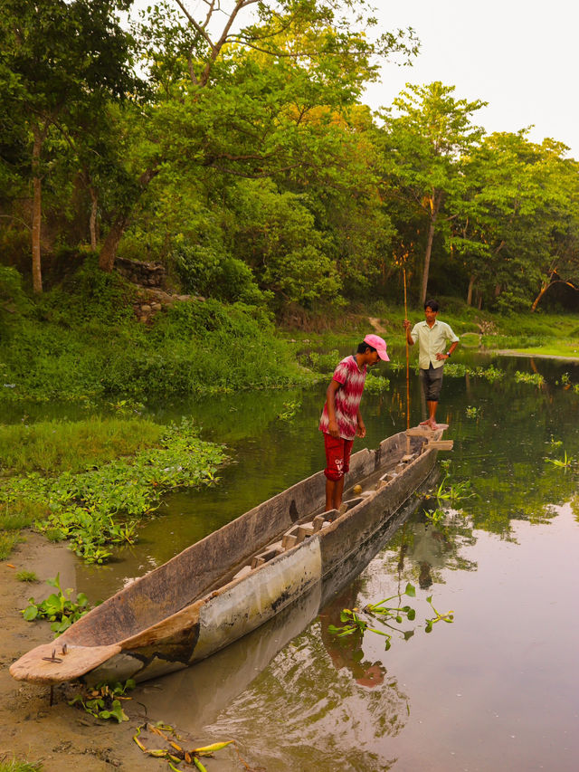 Premium accommodation in Chitwan 