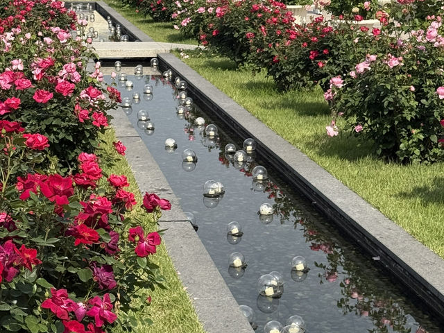 산리오 캐릭터와 함께 하는 장미축제 강추🌹